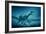 Art of Two Megaraptor Dinosaurs-Joe Tucciarone-Framed Photographic Print