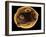 Art of Yeast Cell Budding-Francis Leroy-Framed Photographic Print