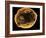 Art of Yeast Cell Budding-Francis Leroy-Framed Photographic Print