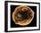 Art of Yeast Cell Budding-Francis Leroy-Framed Photographic Print