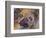 Art Pug-Richard Wallich-Framed Giclee Print