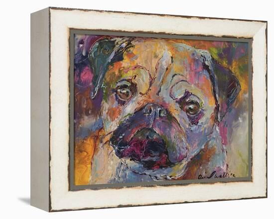 Art Pug-Richard Wallich-Framed Premier Image Canvas