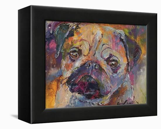 Art Pug-Richard Wallich-Framed Premier Image Canvas