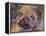 Art Pug-Richard Wallich-Framed Premier Image Canvas