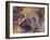 Art Pug-Richard Wallich-Framed Giclee Print