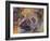 Art Pug-Richard Wallich-Framed Giclee Print