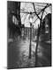 Photographic Print