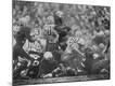Premium Photographic Print