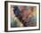 Art Rooster 2-Richard Wallich-Framed Giclee Print