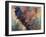 Art Rooster 2-Richard Wallich-Framed Giclee Print