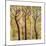 Art Tree Print Triptych-Blenda Tyvoll-Mounted Art Print