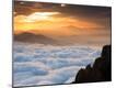 Premium Photographic Print