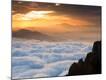 Premium Photographic Print