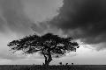Premium Photographic Print