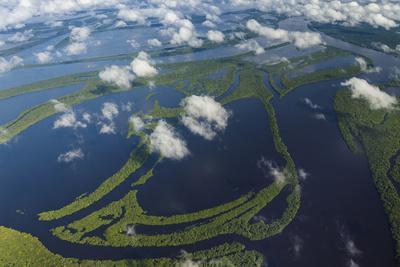 Amazon River Color Photography Art Prints Paintings Posters Wall Art Art Com Amazon River Color Photography Art Prints Paintings Posters Wall Art Art Com