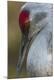 Premium Photographic Print