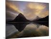 Premium Photographic Print