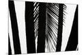 Premium Photographic Print