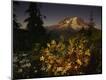 Photographic Print