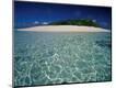 Photographic Print