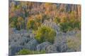 Premium Photographic Print