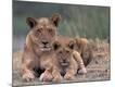 Premium Photographic Print