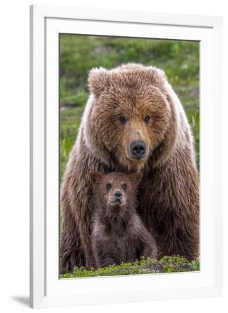 Coleman - Bear Baby 71xH-htyMgL._UF350,350_QL50_.jpg