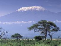 Mount Kilimanjaro, Amboseli National Park, Kenya-Art Wolfe-Photographic Print