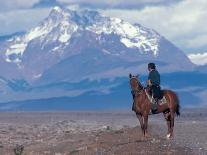 Sheep Herd and Gaucho, Patagonia, Argentina-Art Wolfe-Photographic Print