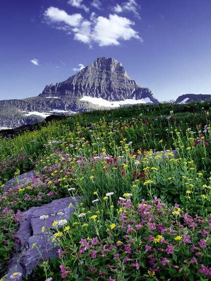 Premium Photographic Print, , large