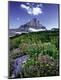 Premium Photographic Print