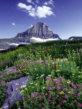 Photographic Print, , large