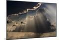 Premium Photographic Print