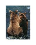 Alaska-Art Wolfe-Framed Photographic Print