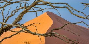 Solar eclipse, Chile-Art Wolfe Wolfe-Framed Photographic Print