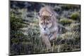Premium Photographic Print