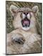 Premium Photographic Print