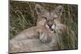 Photographic Print