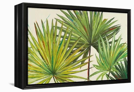 Arte Verde II-Patricia Pinto-Framed Stretched Canvas