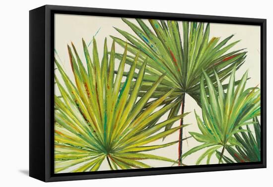 Arte Verde II-Patricia Pinto-Framed Stretched Canvas