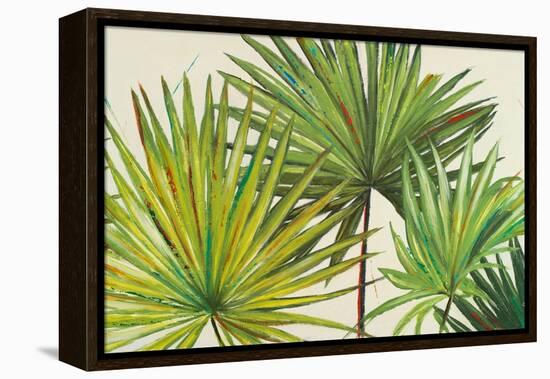 Arte Verde II-Patricia Pinto-Framed Stretched Canvas