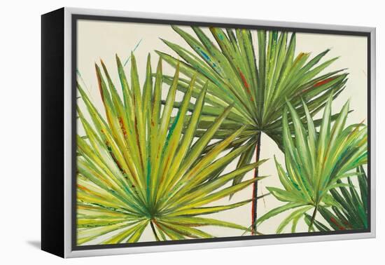 Arte Verde II-Patricia Pinto-Framed Stretched Canvas