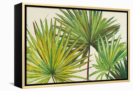 Arte Verde II-Patricia Pinto-Framed Stretched Canvas