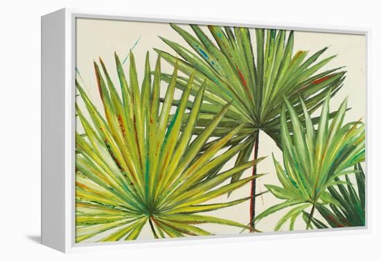 Arte Verde II-Patricia Pinto-Framed Stretched Canvas