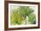 Arte Verde II-Patricia Pinto-Framed Art Print