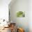 Arte Verde II-Patricia Pinto-Premium Giclee Print displayed on a wall