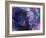 artelephoto 4-Richard Wallich-Framed Giclee Print