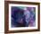 artelephoto 4-Richard Wallich-Framed Giclee Print