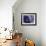 artelephoto 4-Richard Wallich-Framed Giclee Print displayed on a wall