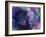 artelephoto 4-Richard Wallich-Framed Giclee Print